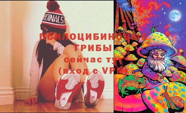 гашик Абинск