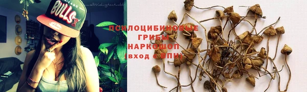 таблы Покачи