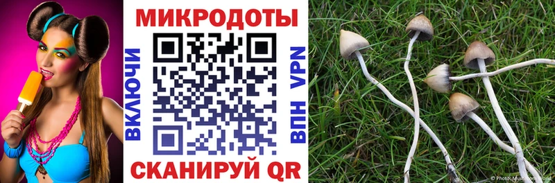 мориарти телеграм  где можно купить наркотик  OMG рабочий сайт  Алейск  Галлюциногенные грибы ЛСД 