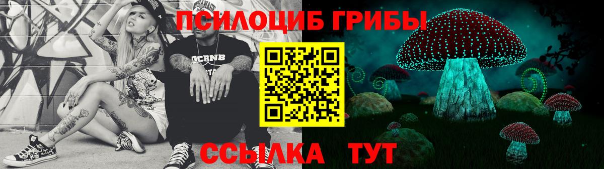 Алейск  Галлюциногенные грибы Magic Shrooms  Вход с VPN 